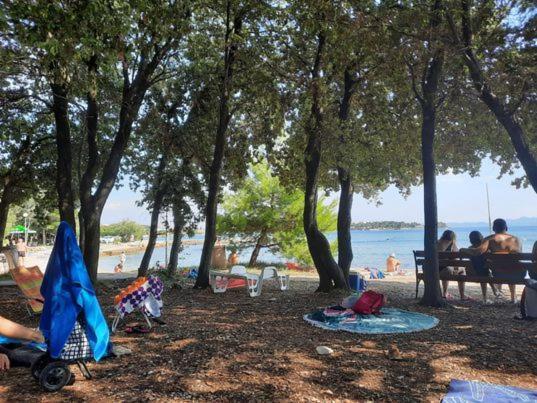 Apartments Summer Touch Petrcane Esterno foto